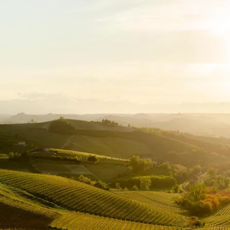 Cascina Delle Rose Κατάλυμα σε φάρμα Barbaresco