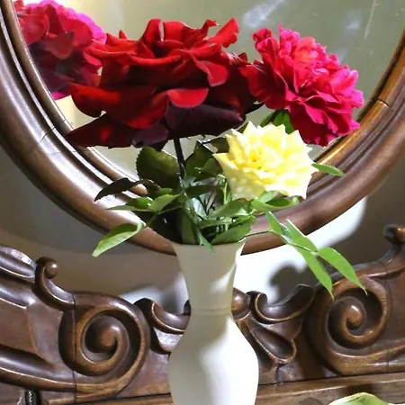 Alloggio per agriturismo Cascina Delle Rose Barbaresco