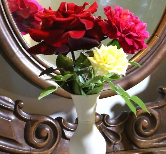 ファームステイ Cascina Delle Rose バルバレスコ